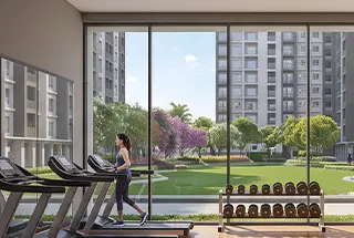 Gymnasium